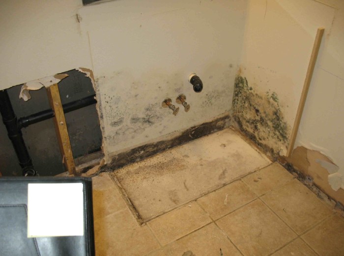 Exterior Cladding | KerraneStorz