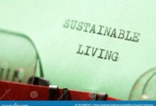 Stunning renovation of an English Cottage style home in New Jersey